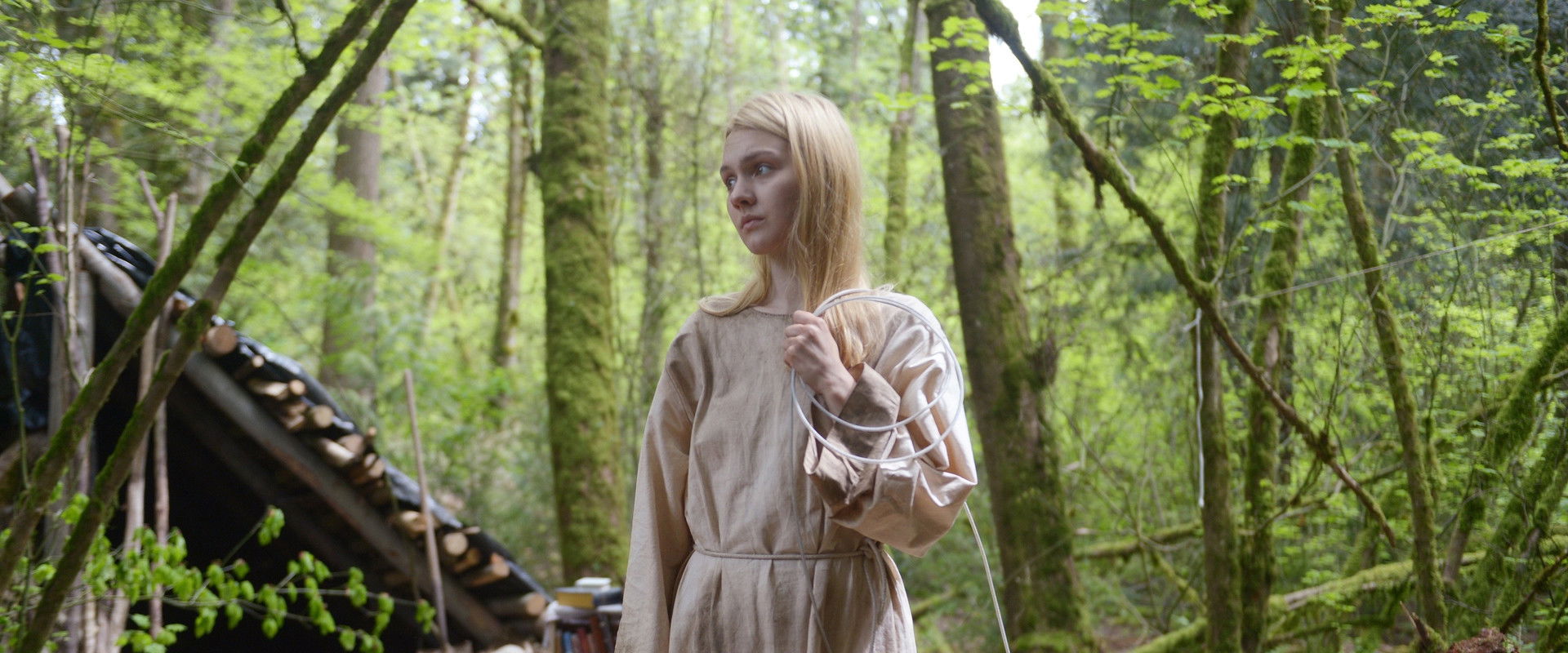 I Am Elizabeth Smart backdrop