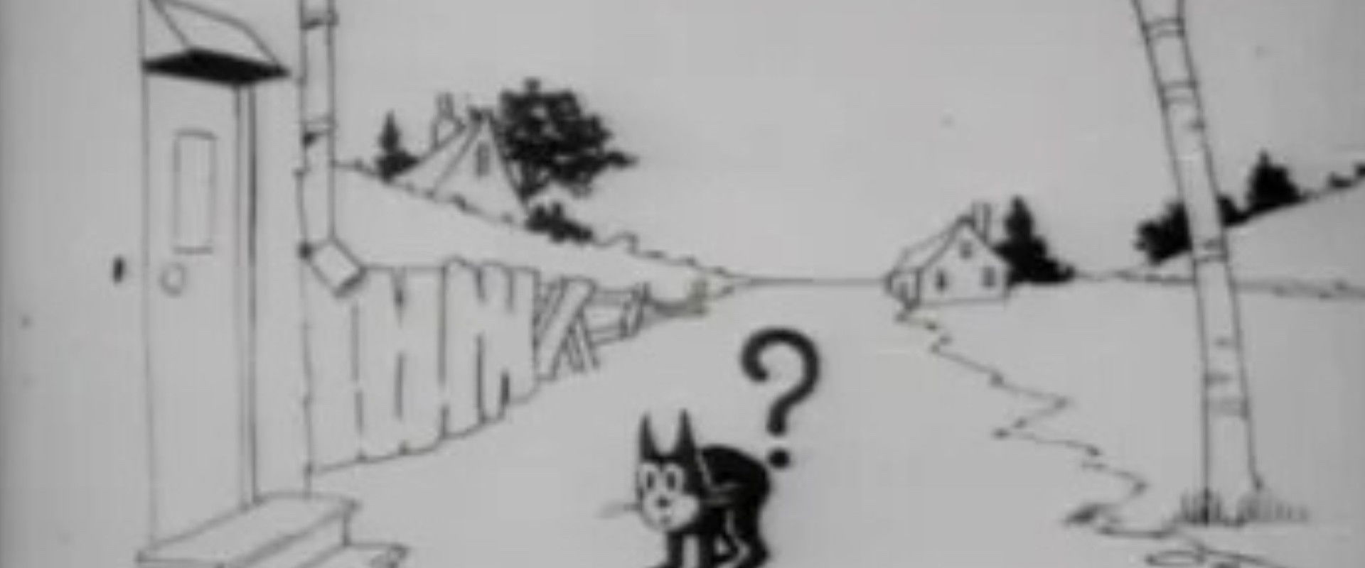 Feline Follies backdrop