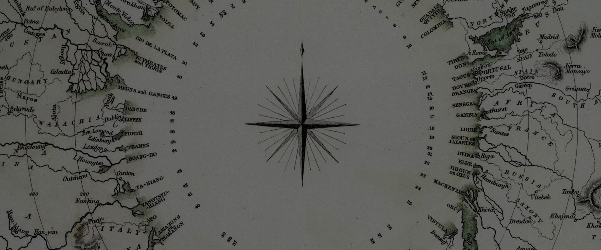 Dozens of Norths backdrop