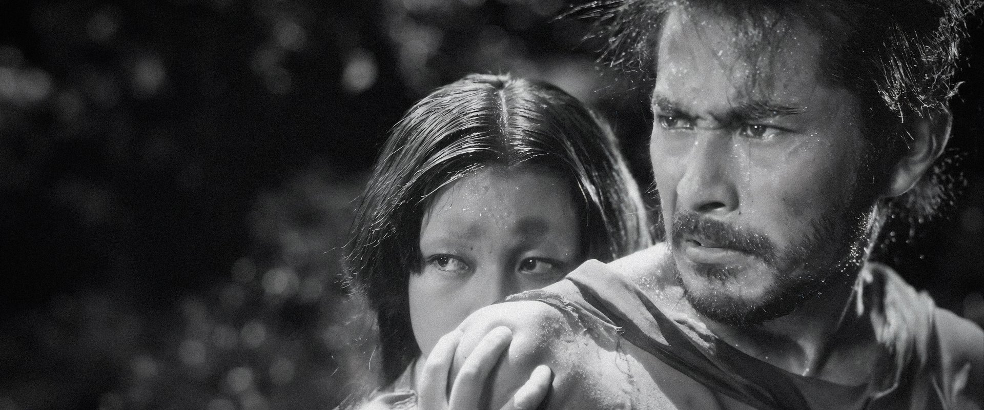Rashomon