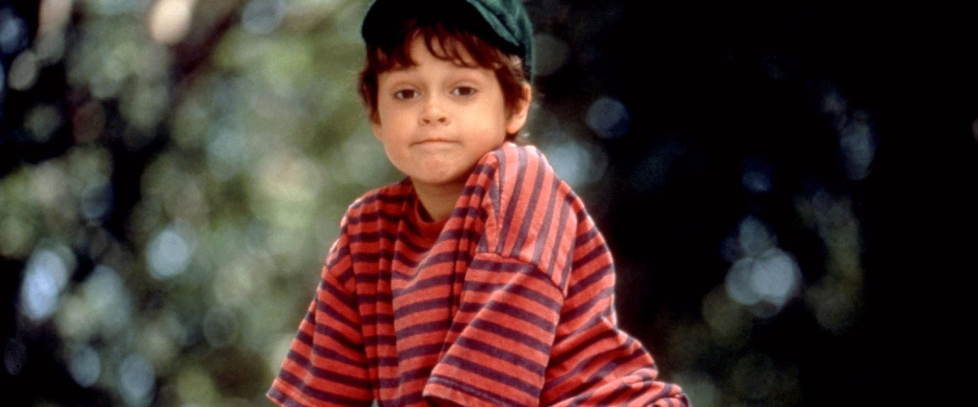 Leave It to Beaver backdrop