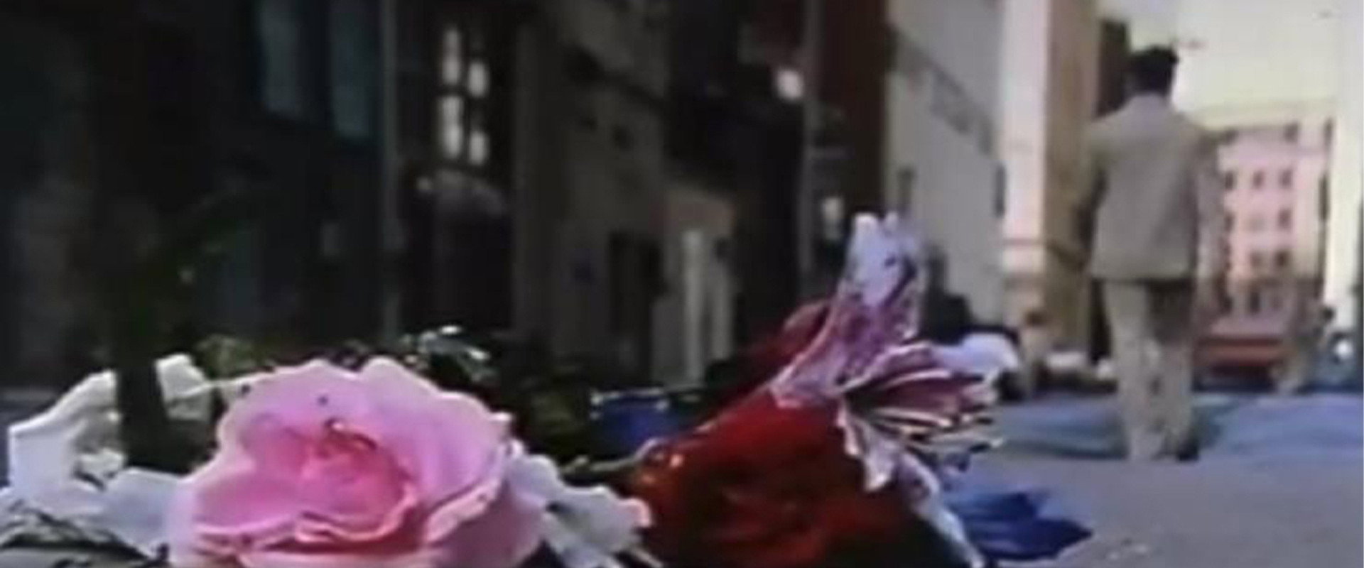 The Man Who Loved Flowers backdrop