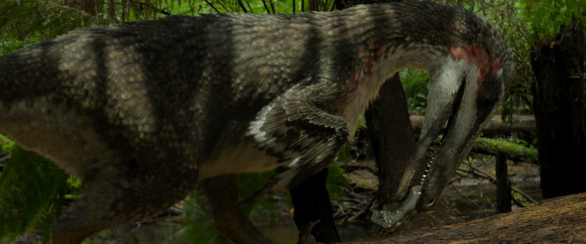 When Dinosaurs Roamed America backdrop
