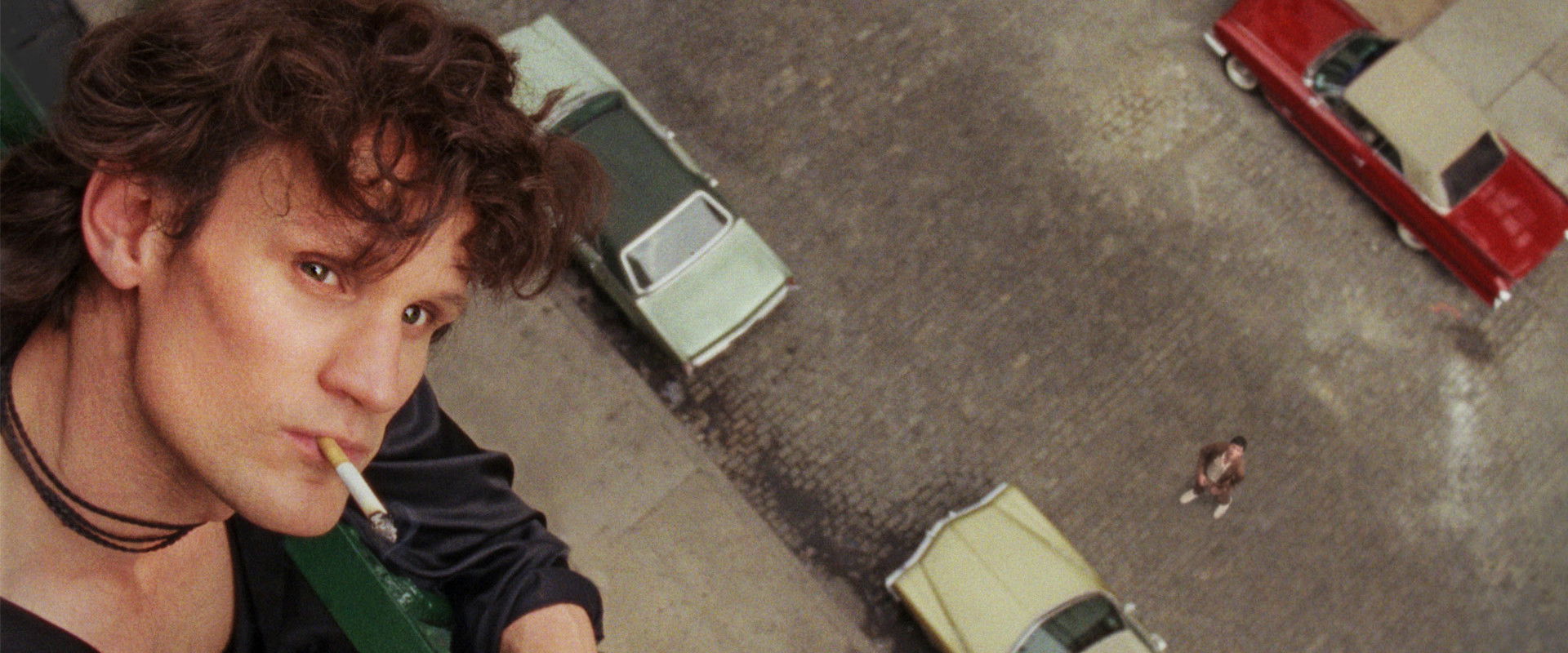 Mapplethorpe backdrop