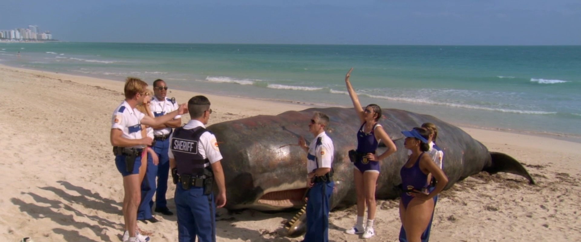 Reno 911!: Miami backdrop