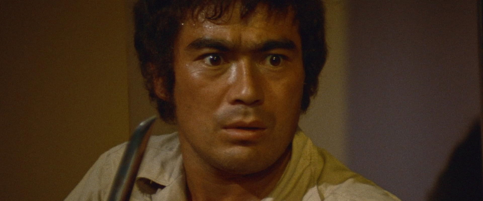 Karate Bullfighter backdrop