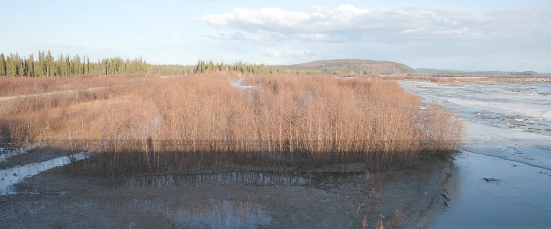 The Story of a Slough