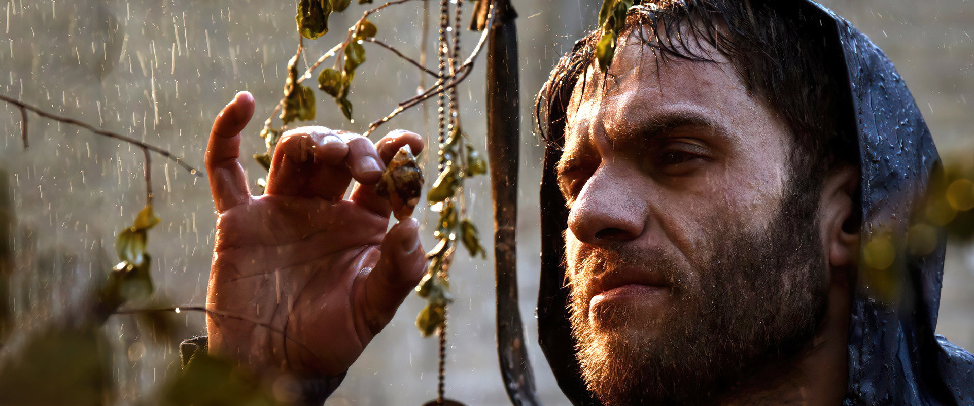 Cypress Under Water backdrop