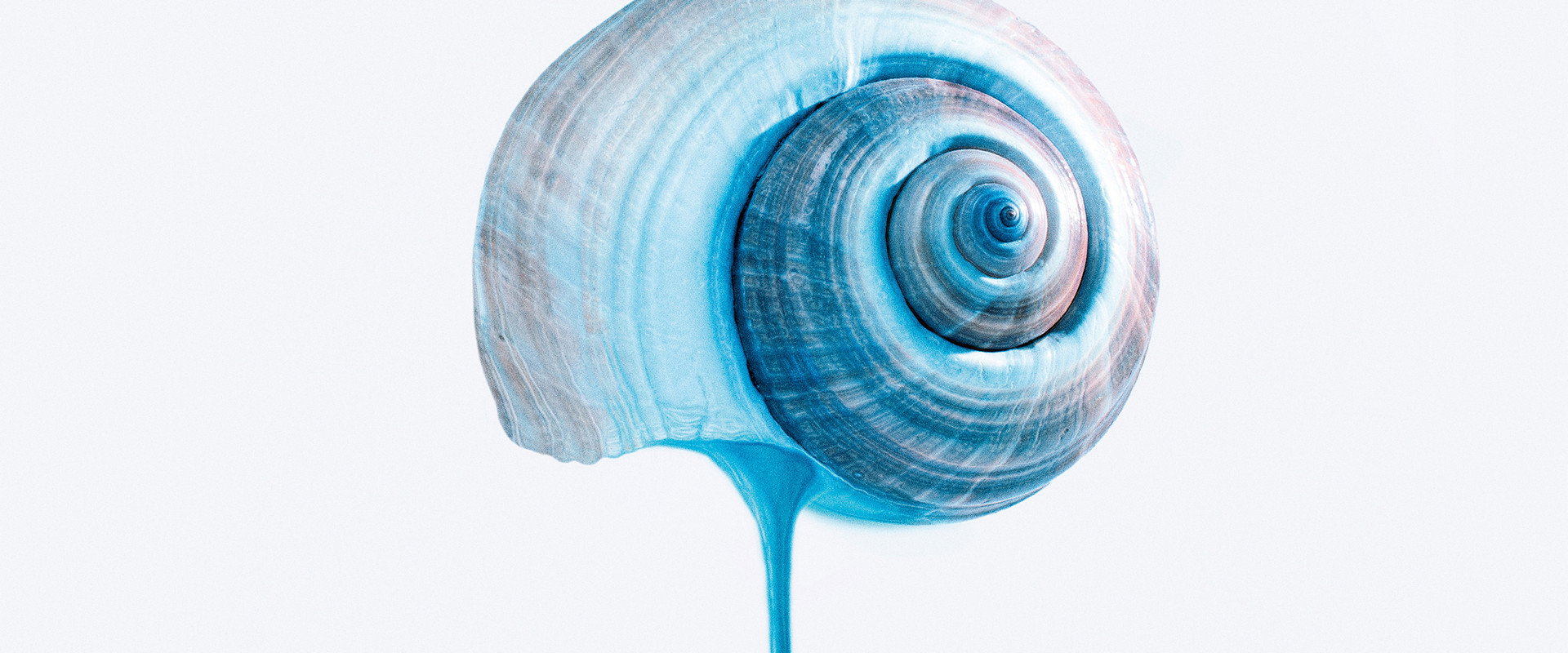 The Blue Trail backdrop