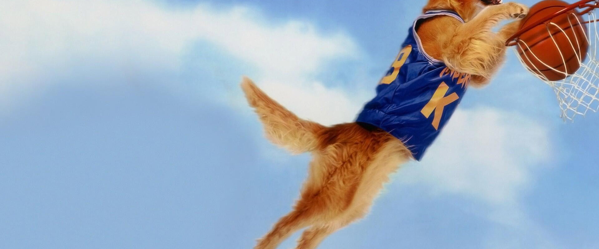 Air Bud backdrop