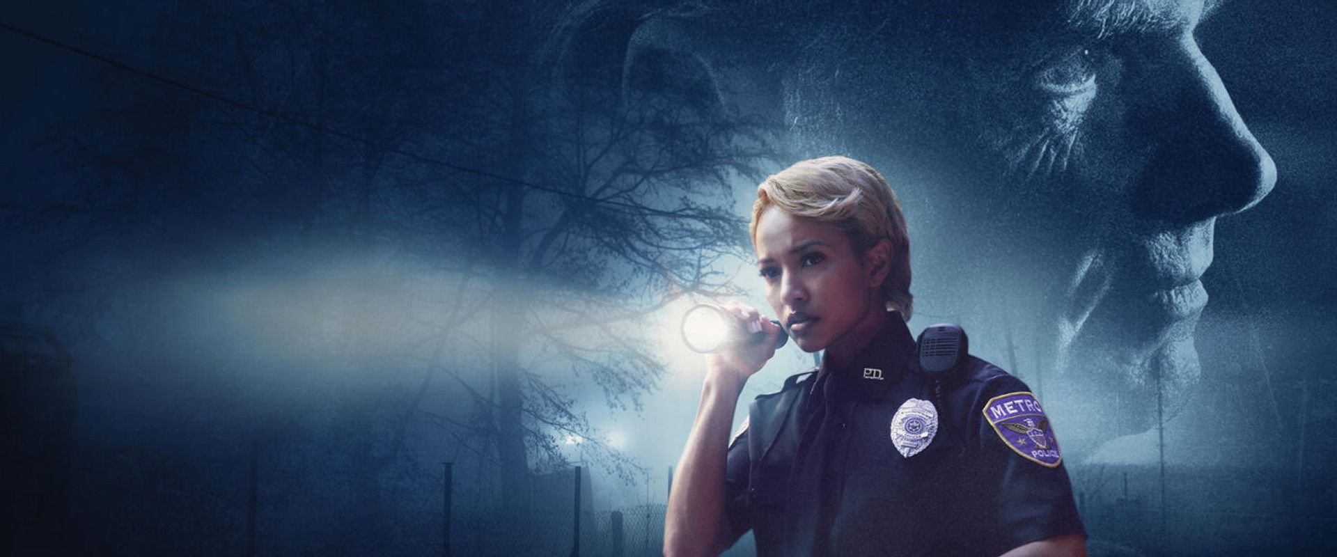 Searching for a Serial Killer: The Regina Smith Story backdrop