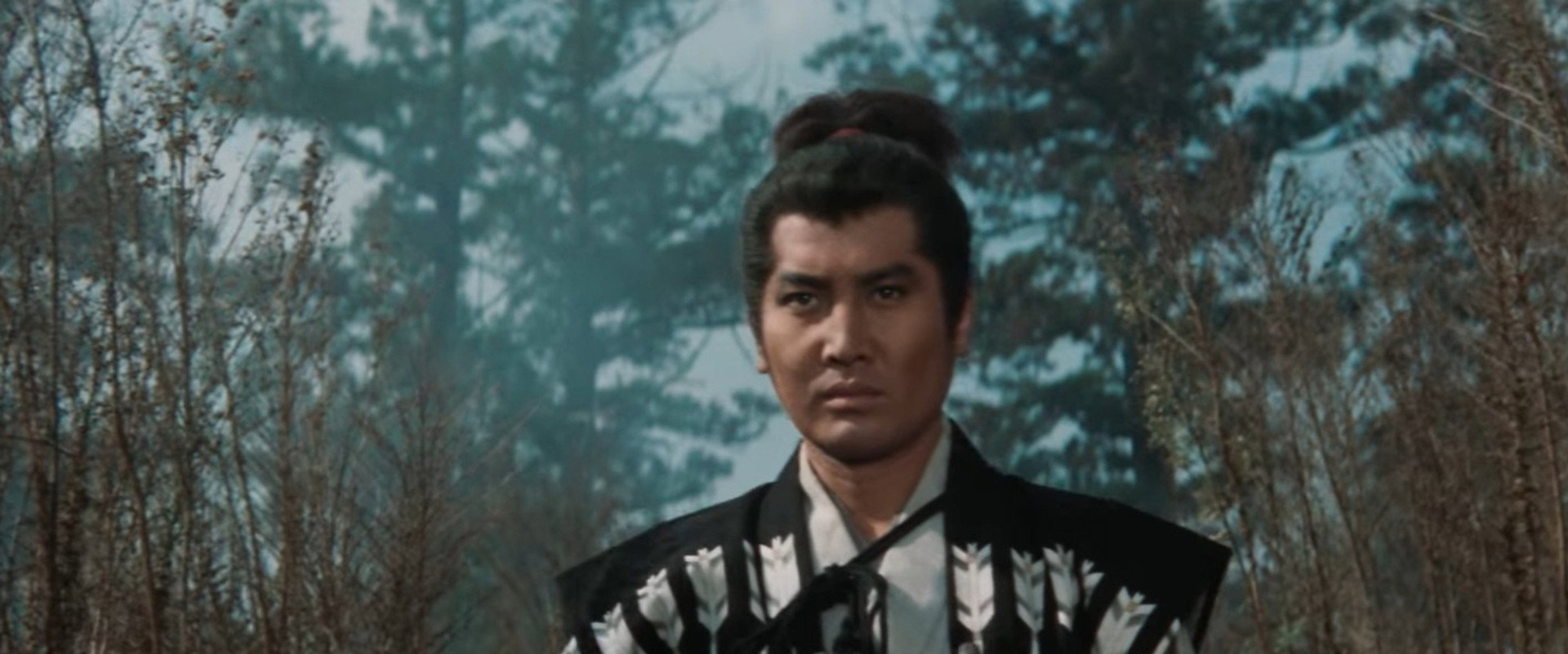 Miyamoto Musashi: Showdown at Hannyazaka Heights backdrop