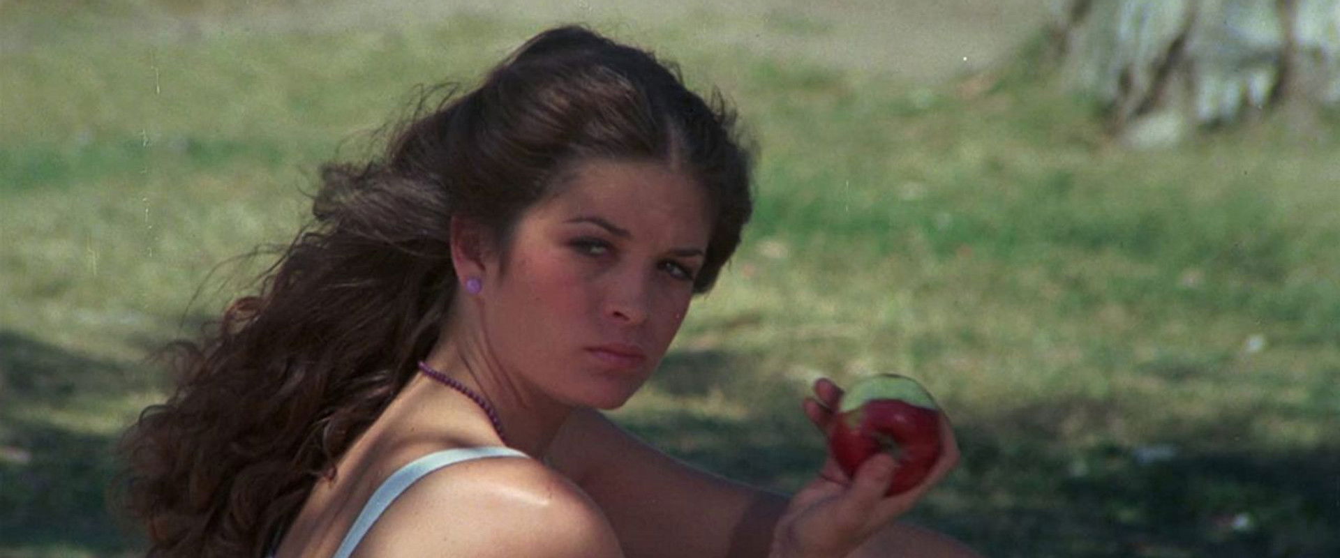 Sweet Sixteen backdrop