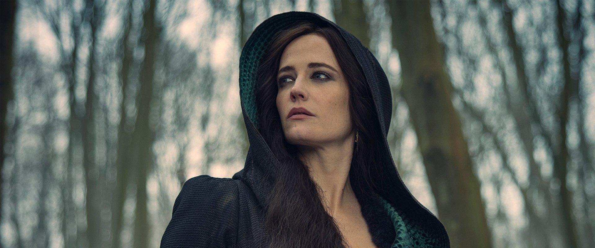 The Three Musketeers: Milady