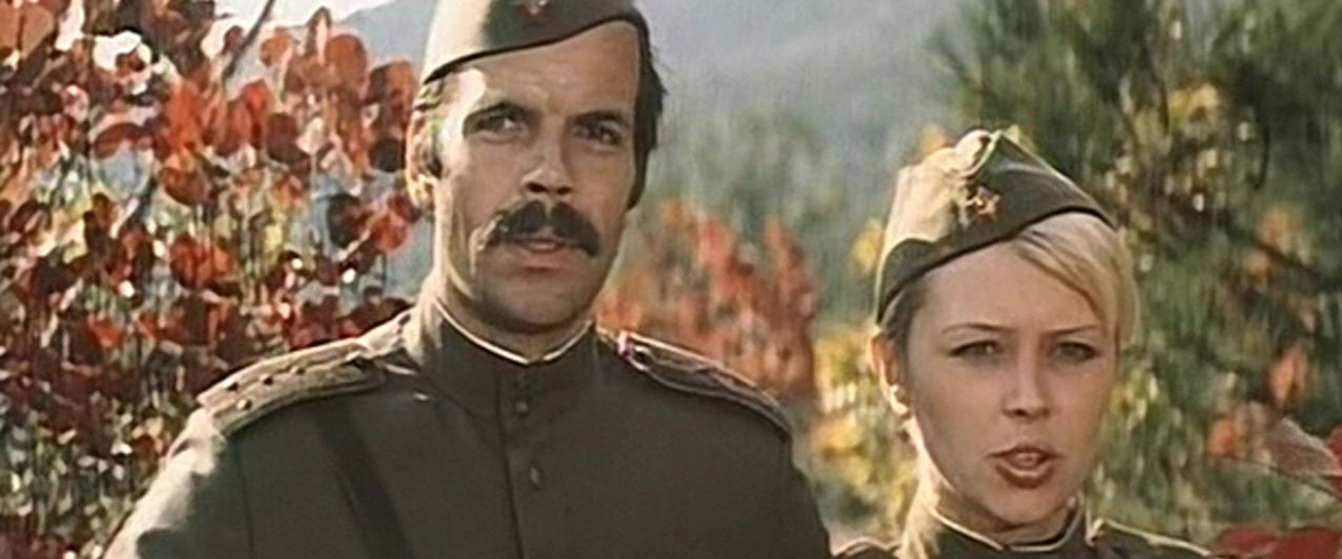 The Fortress backdrop