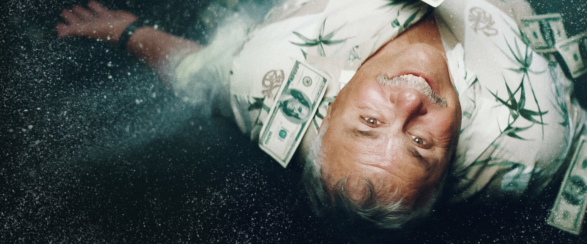 The Legend of Cocaine Island backdrop