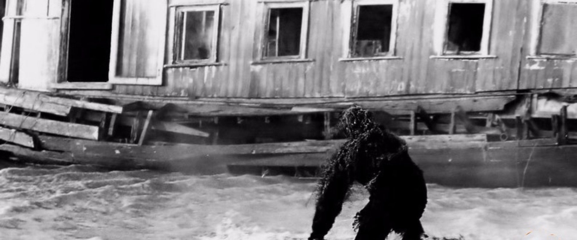 Return to Boggy Creek