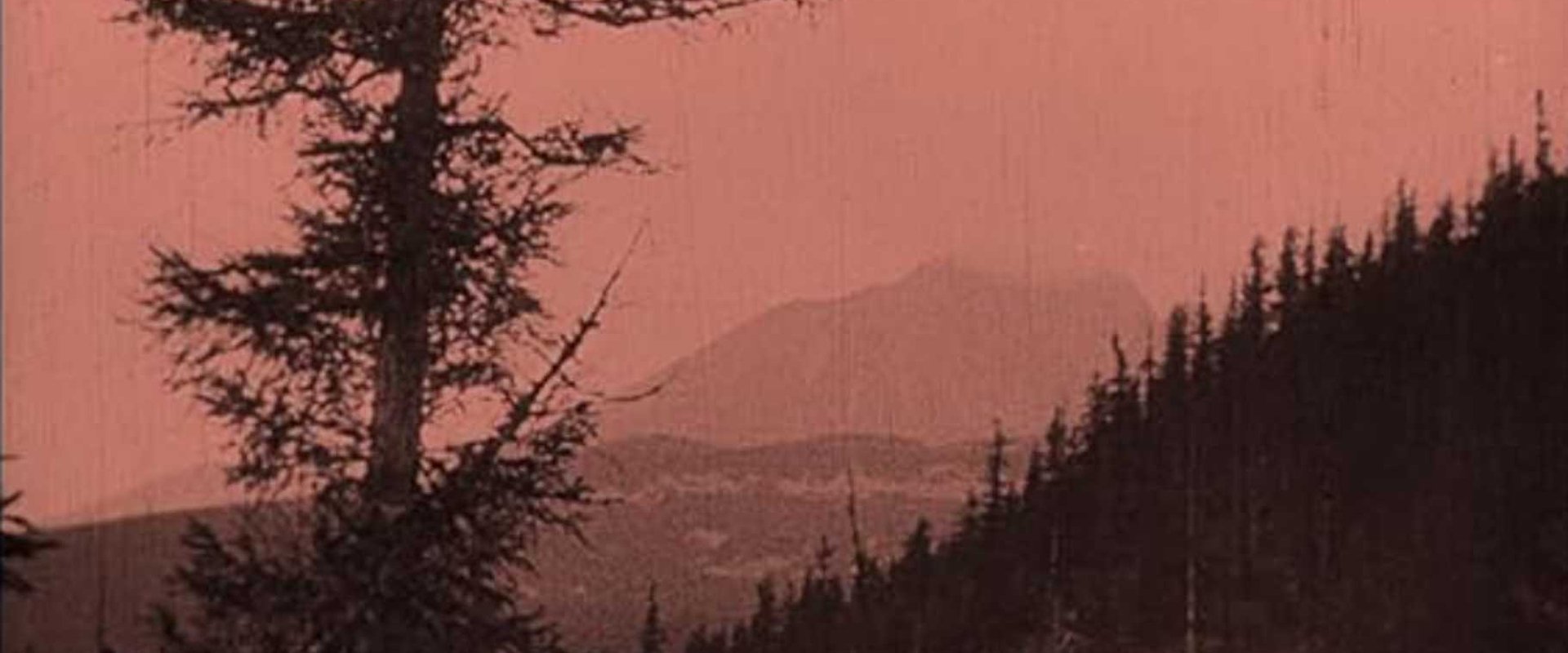 The Mysterious Castles in the Carpathians