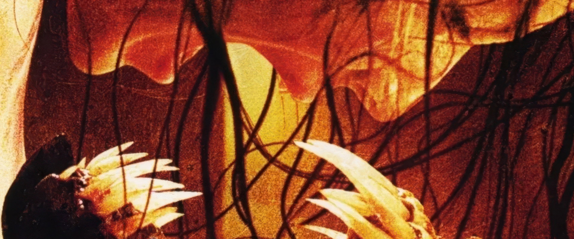 Feast backdrop