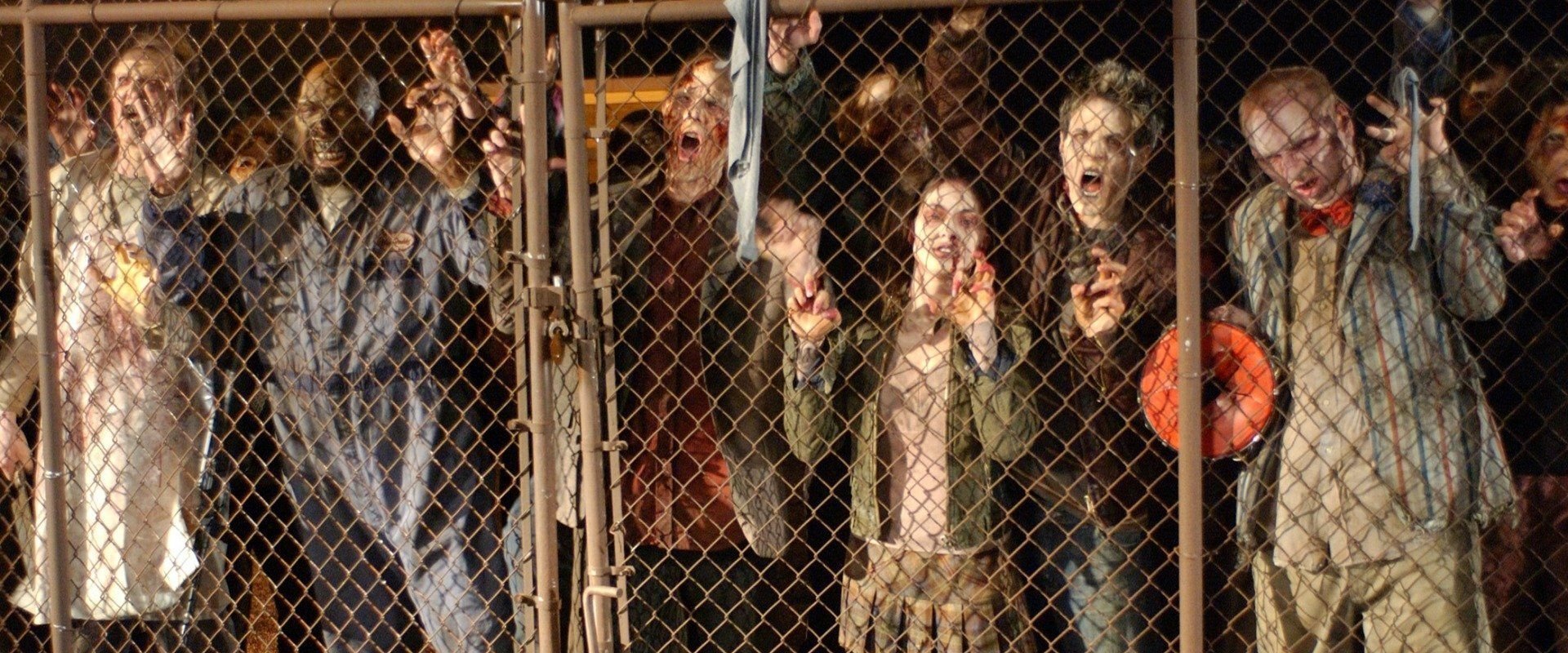Land of the Dead backdrop