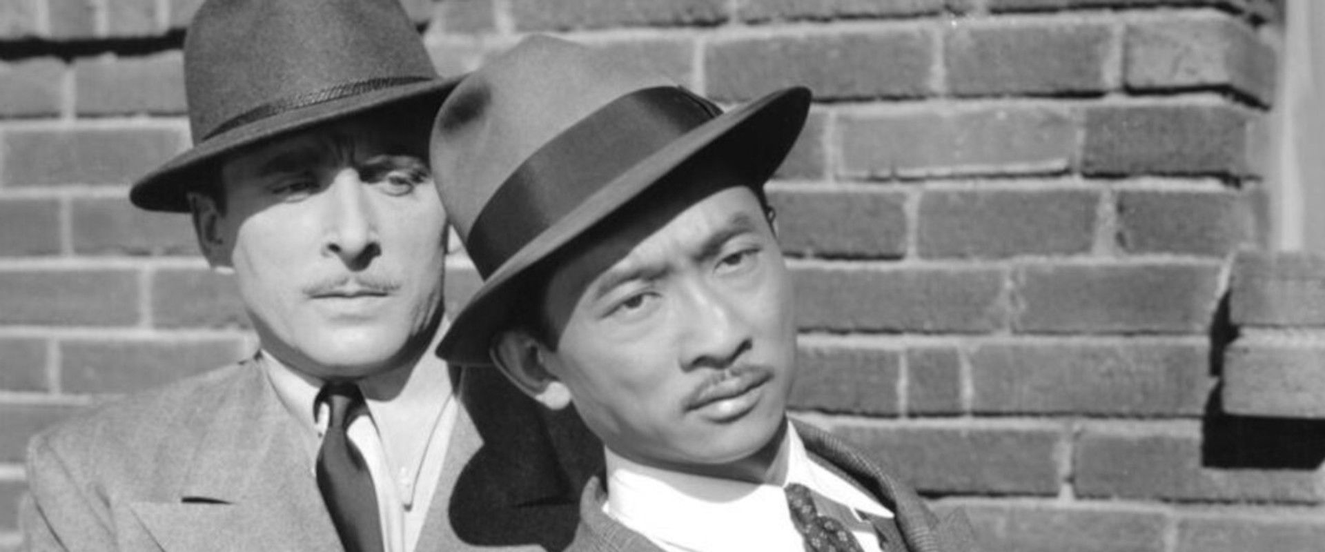 Panama Patrol backdrop