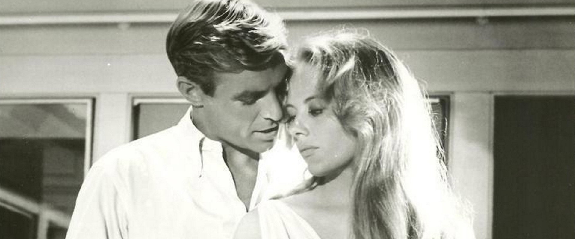 Shadow Over Elveron backdrop