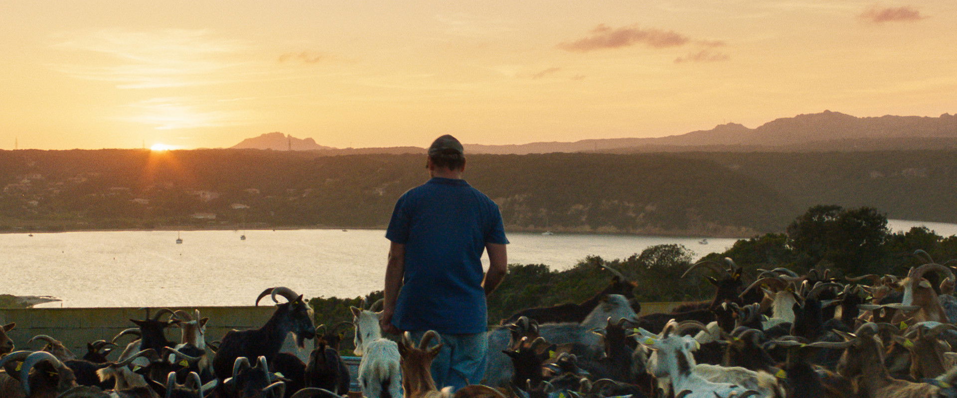 The Mohican backdrop