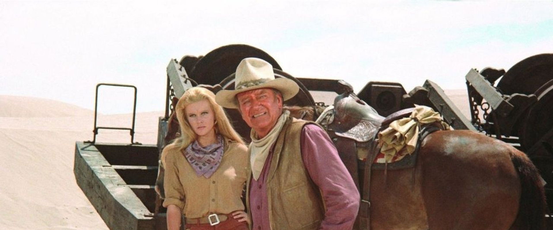 The Train Robbers backdrop