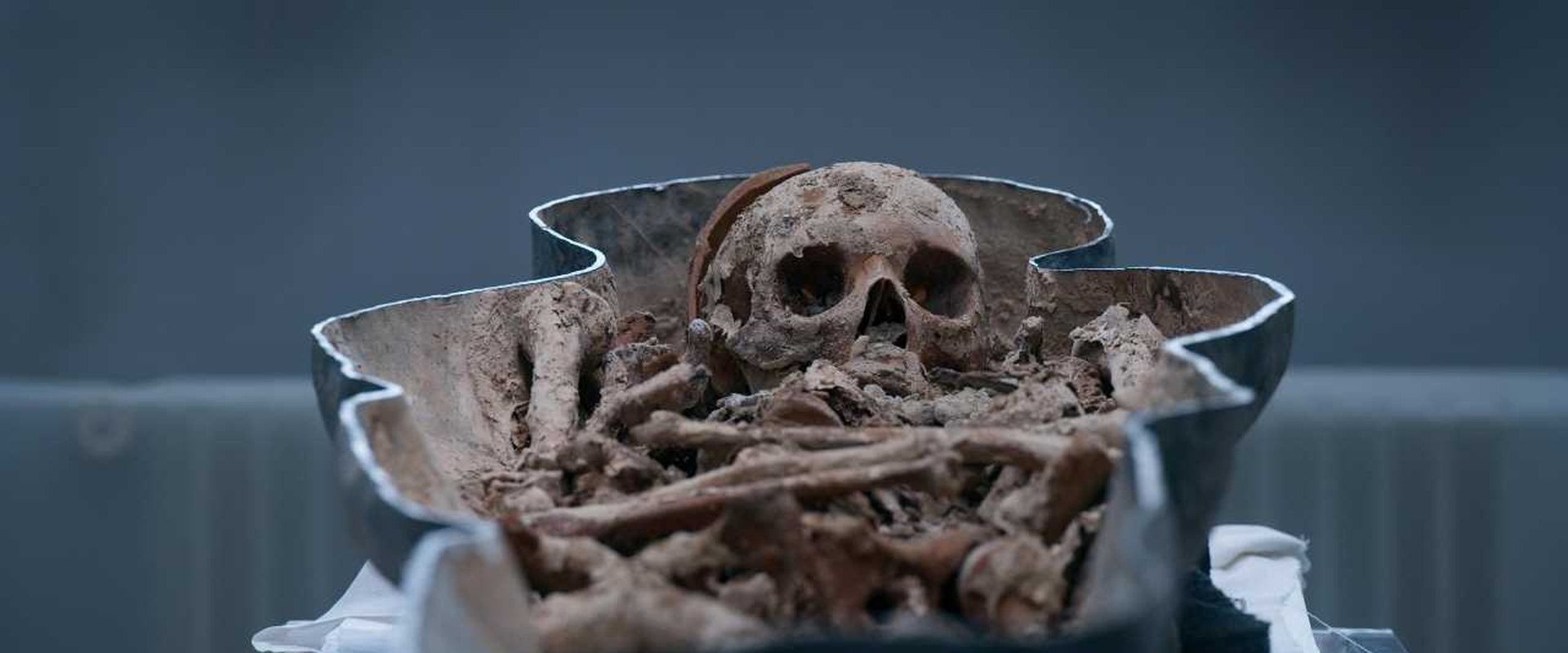 Lost Tombs of Notre Dame backdrop