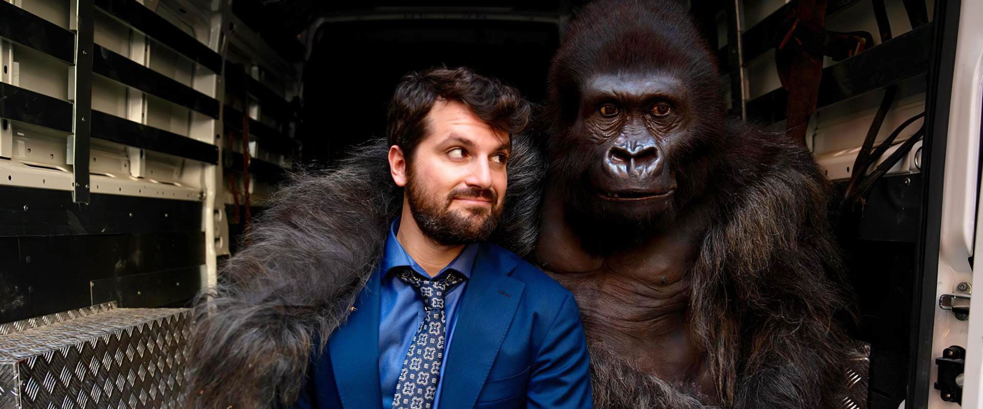 Beware the Gorilla backdrop