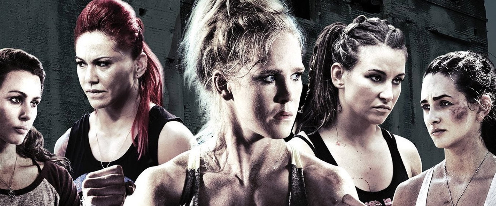 Fight Valley backdrop