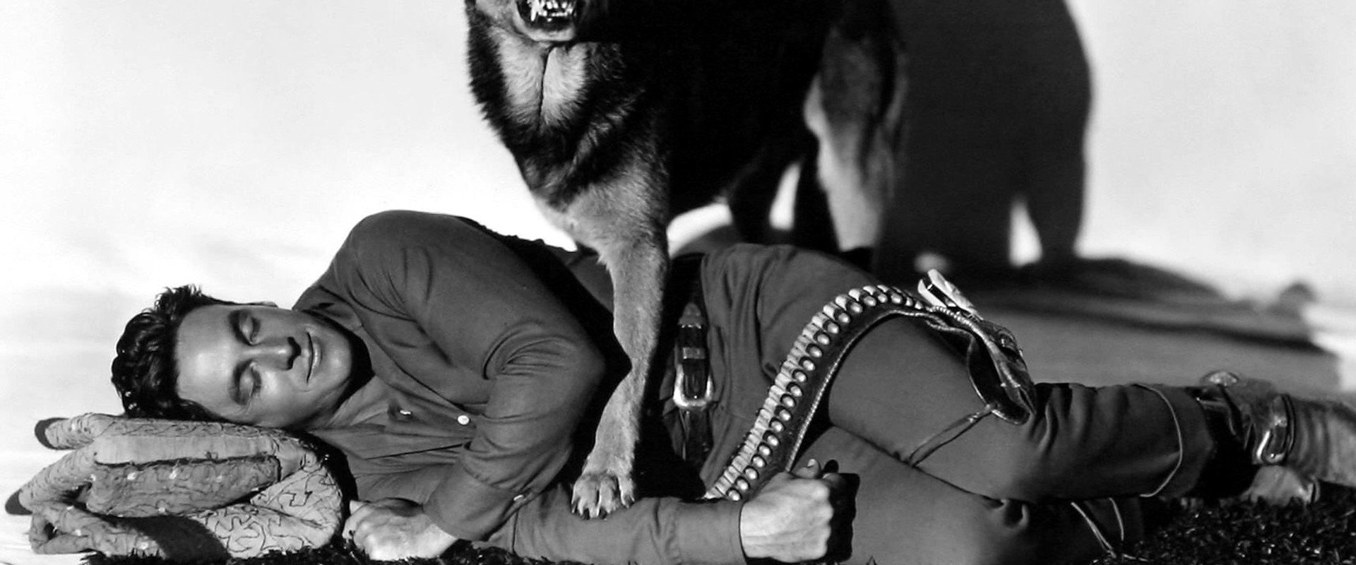 Fair Warning backdrop