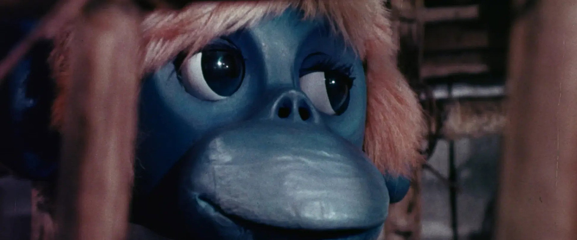 The Rare Blue Apes of Cannibal Isle backdrop