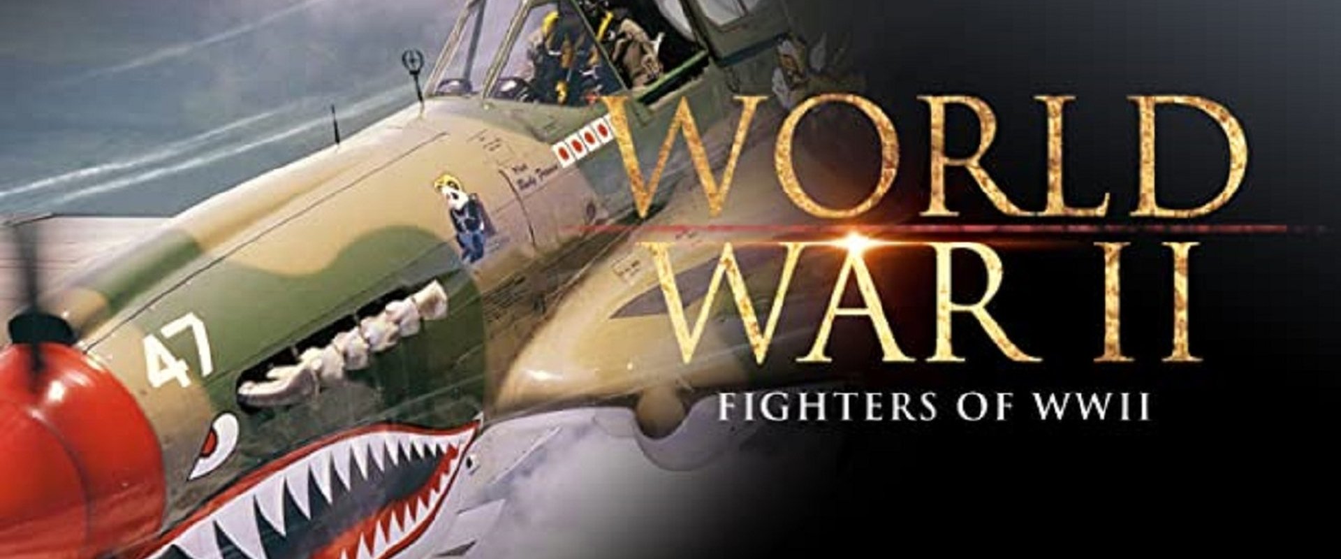 Fighters of WWII