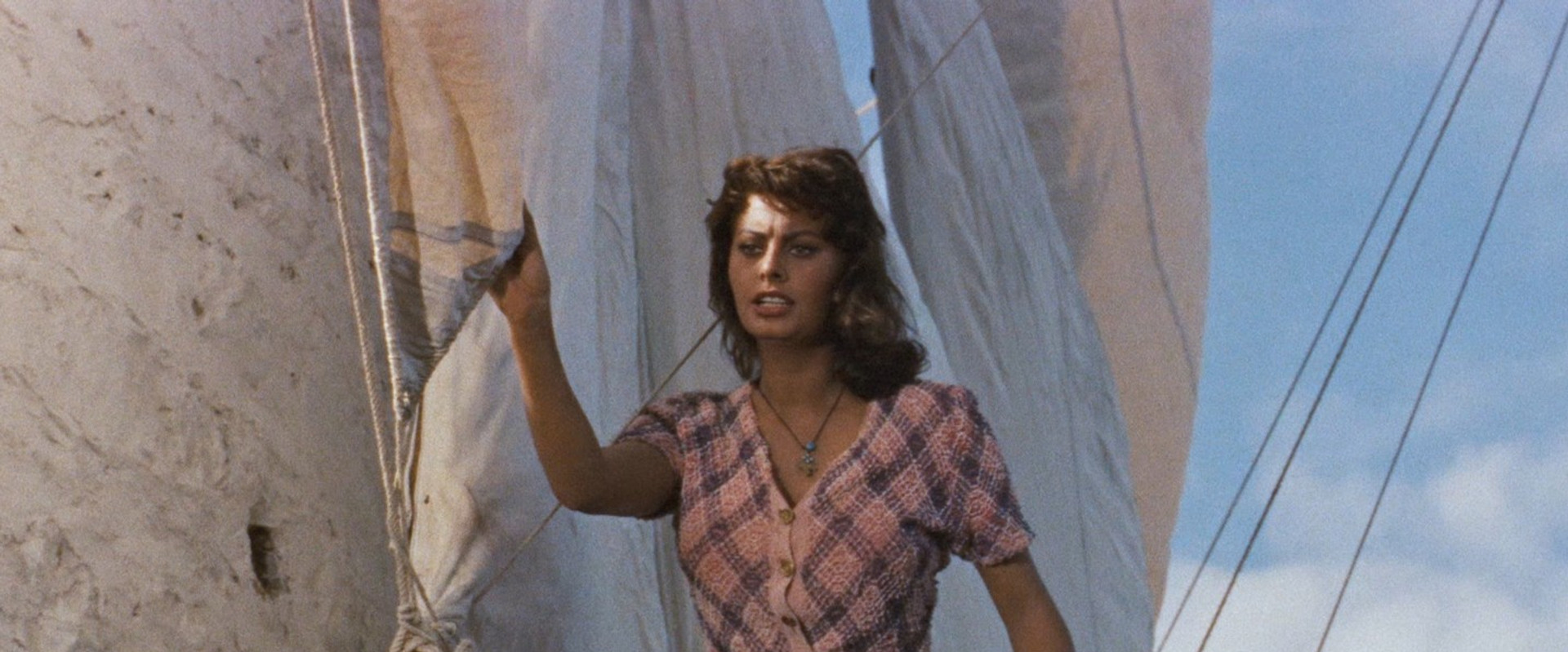 Boy on a Dolphin backdrop