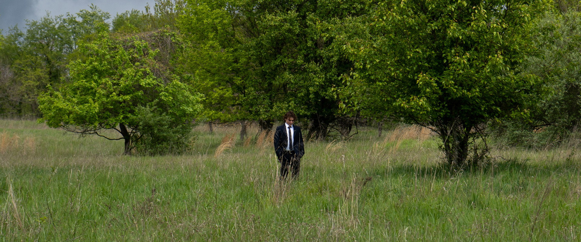 WILDERNESS backdrop