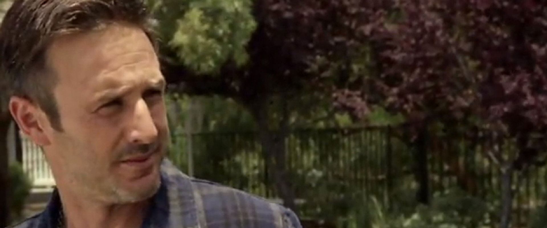 The Cottage backdrop