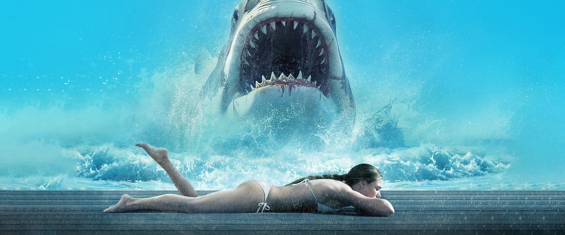 Shark Warning backdrop