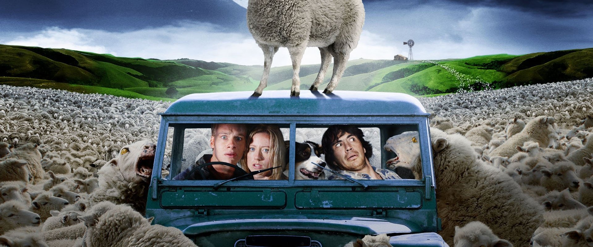 Black Sheep backdrop
