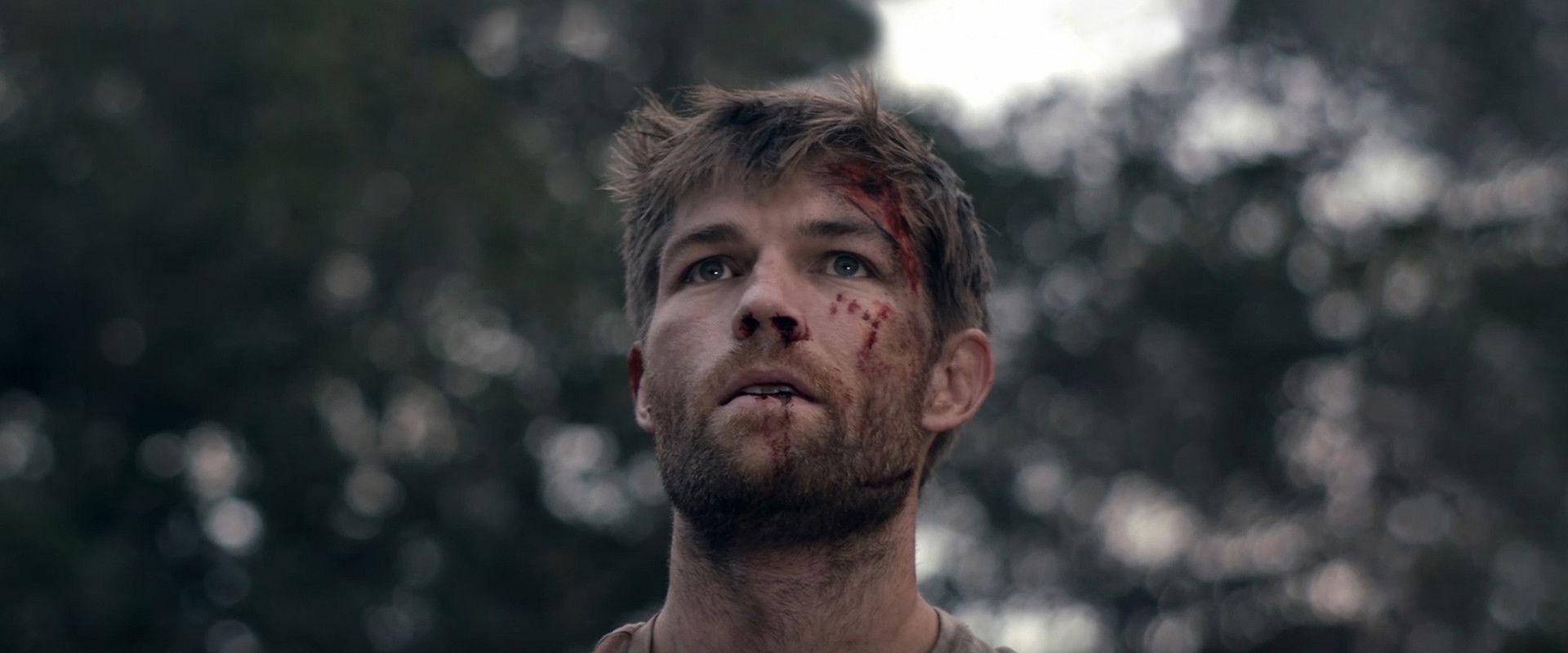 The Clearing backdrop