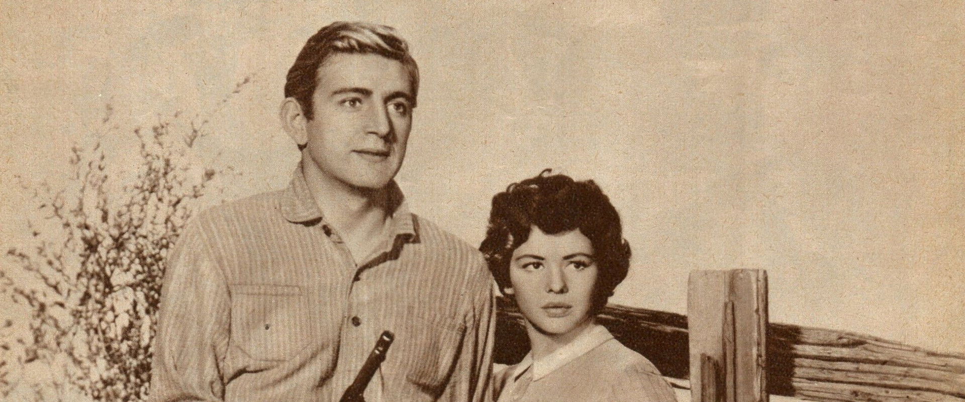 Wild Heritage backdrop