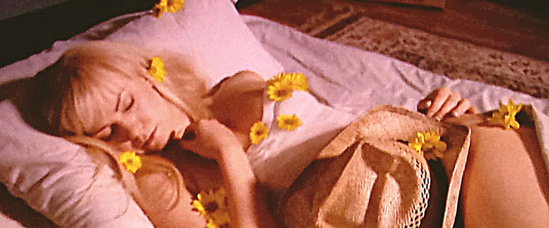 A Friend of the Family backdrop