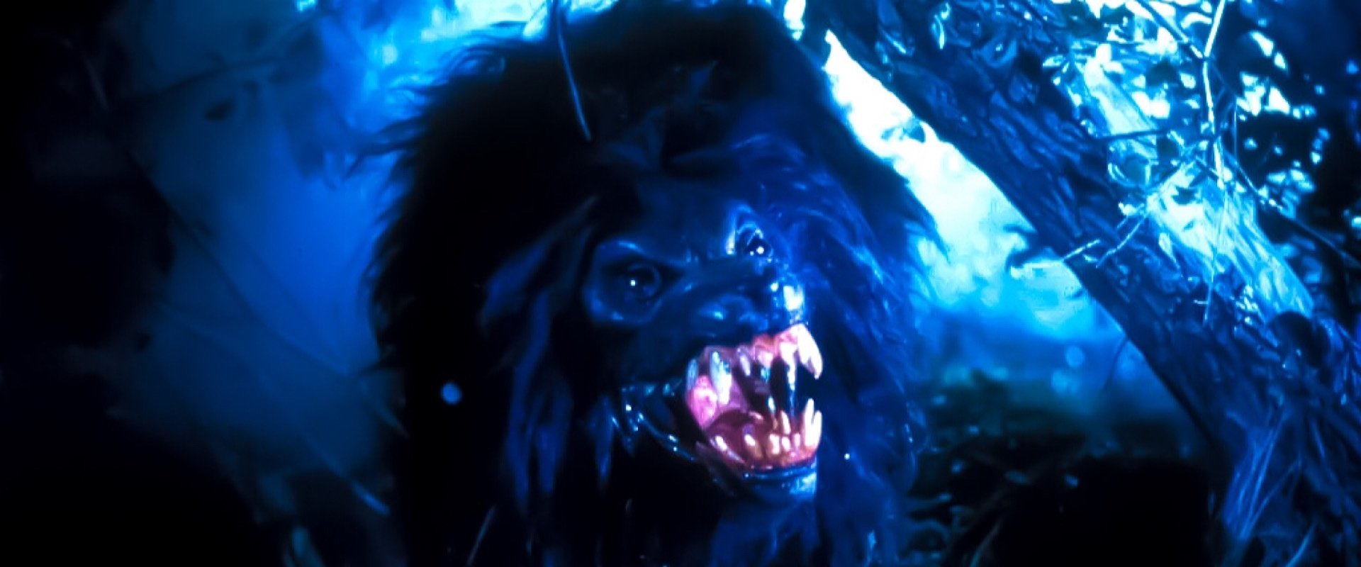 Howling IV: The Original Nightmare backdrop