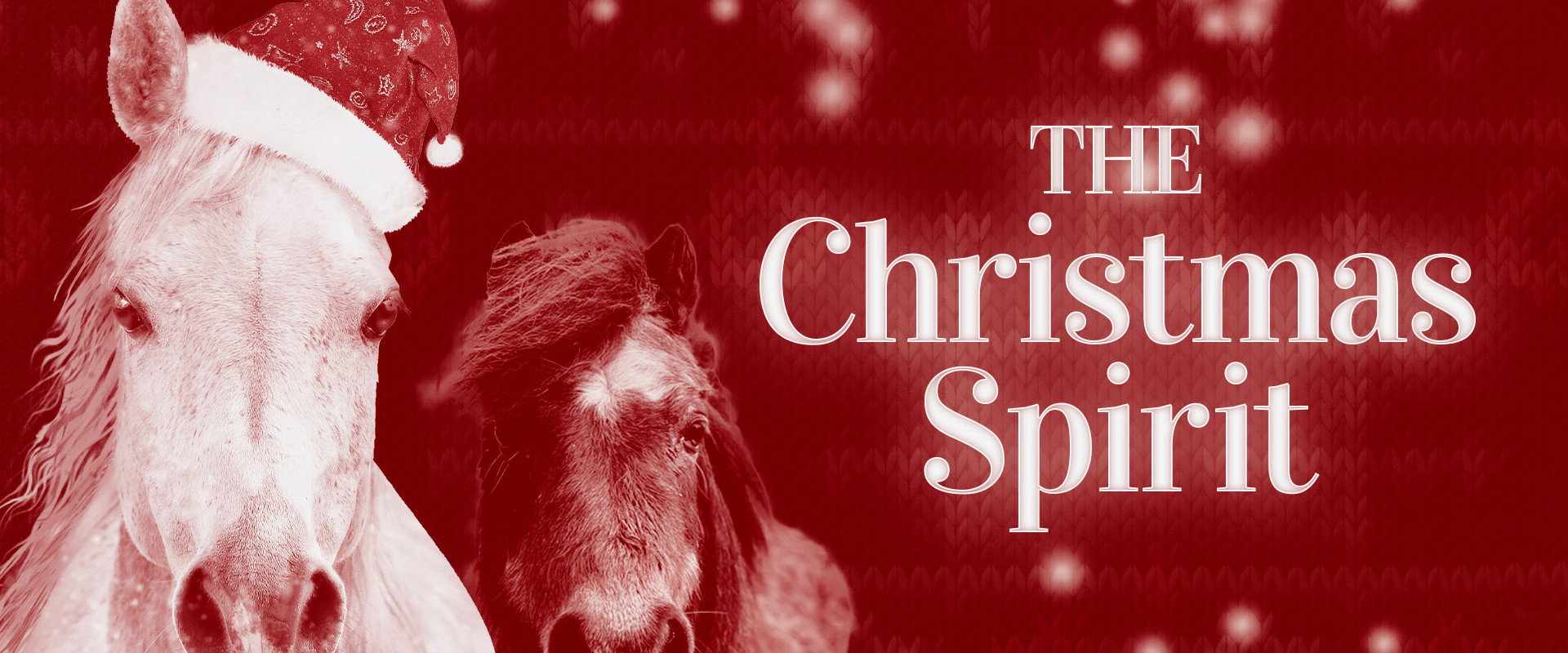 The Christmas Spirit backdrop