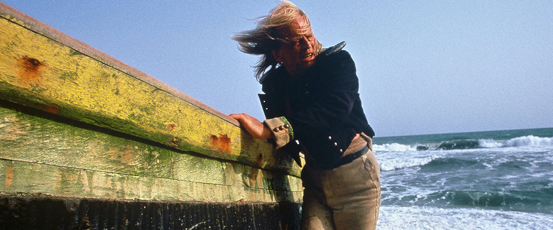 Cobra Verde backdrop