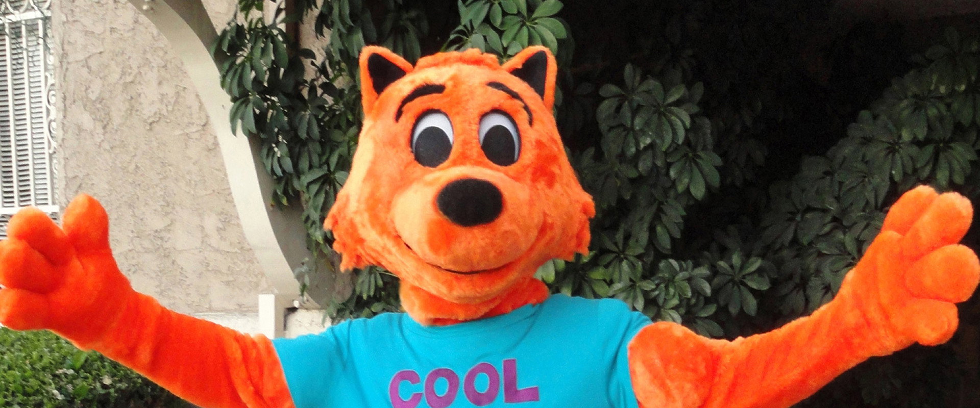 Cool Cat Saves the Kids backdrop