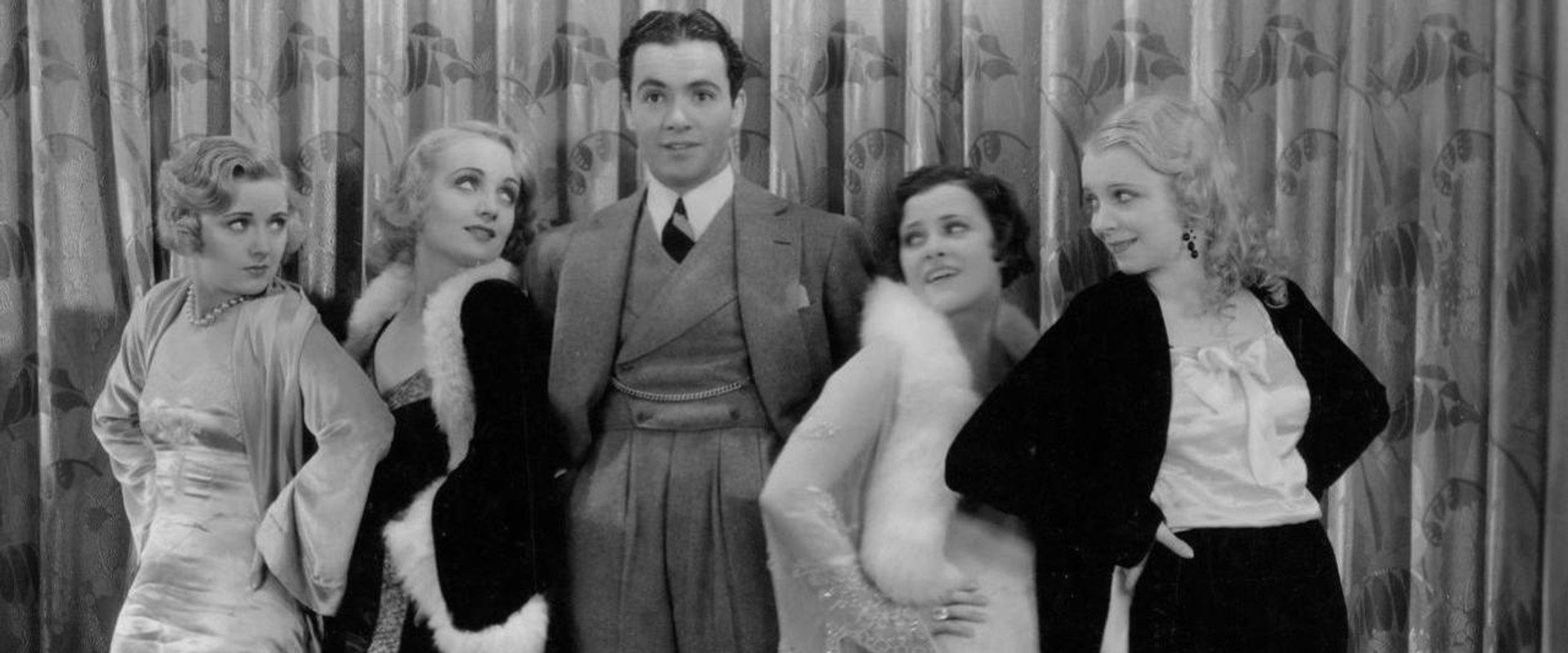 Safety in Numbers backdrop