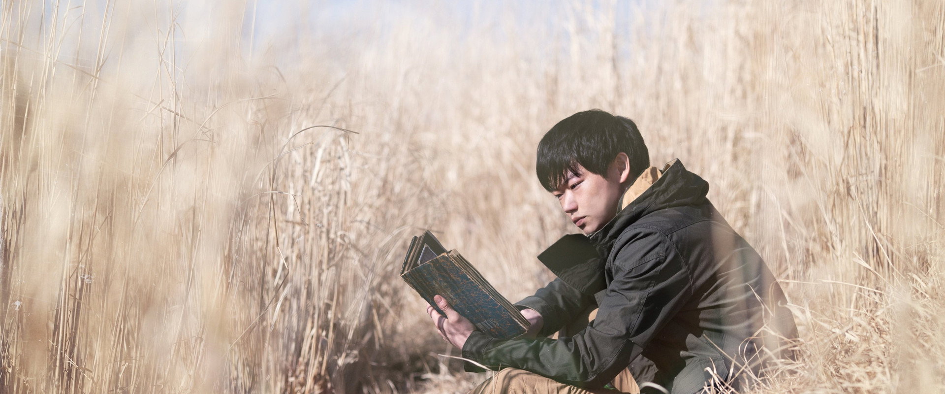 Ring Wandering backdrop