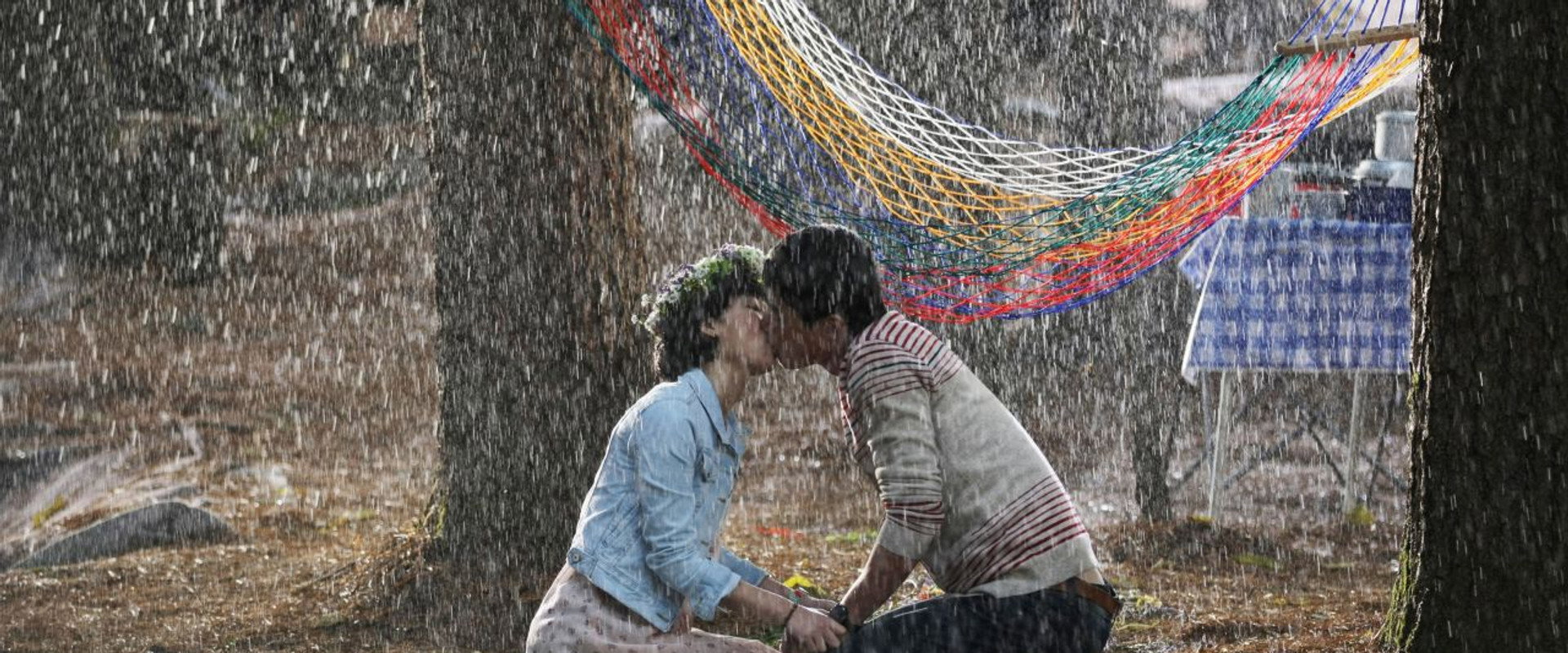 Dear Dolphin backdrop