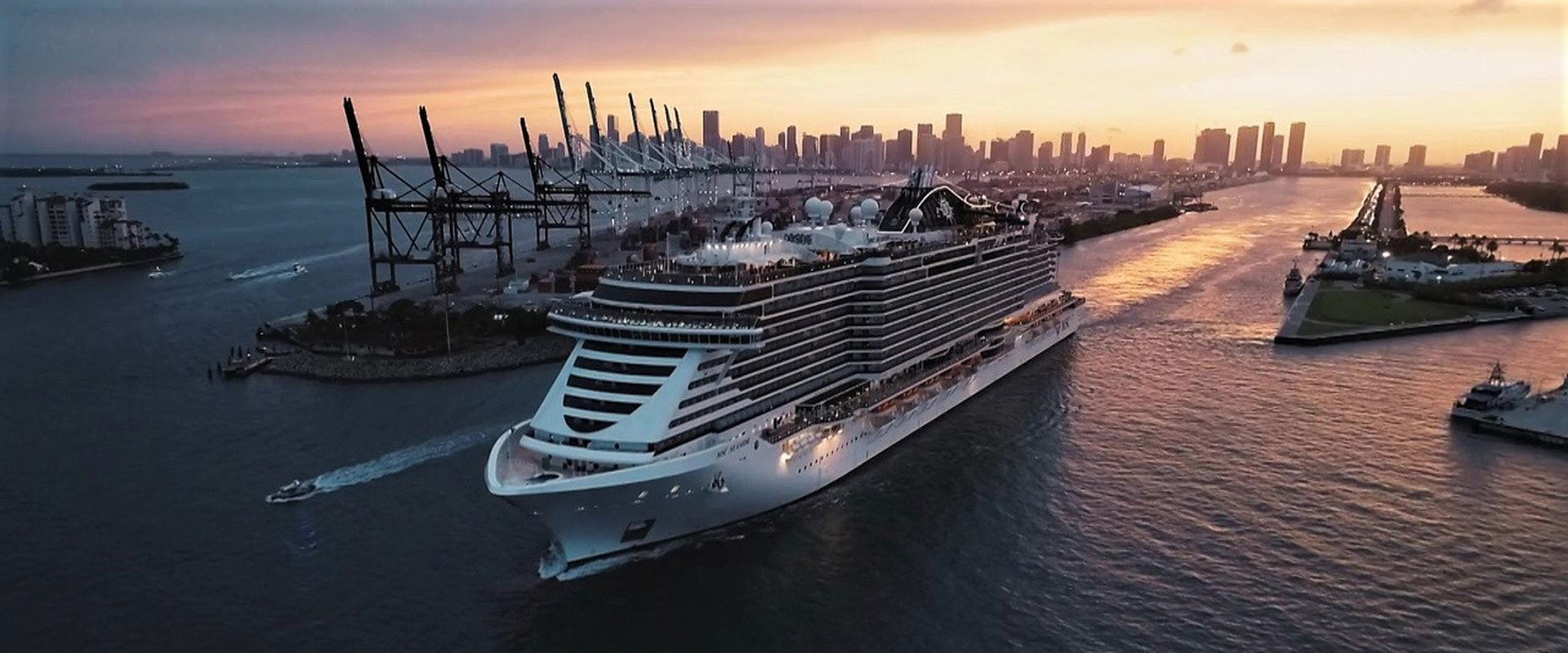 The Secret Life of the Cruise backdrop